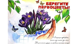 Природоохранная кампания «Первоцветы – вестники весны!».